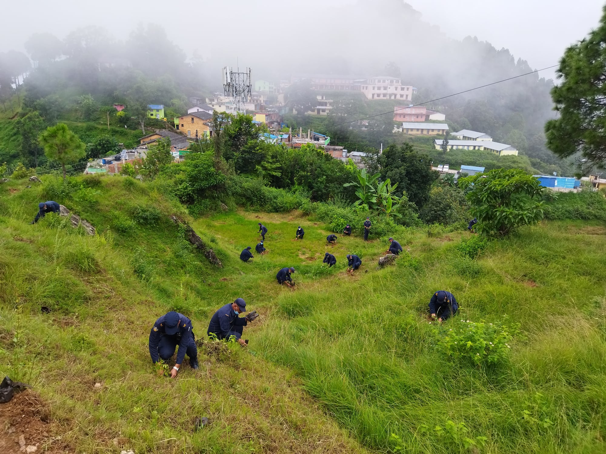 बृक्षारोपण अभियानमा प्रहरी